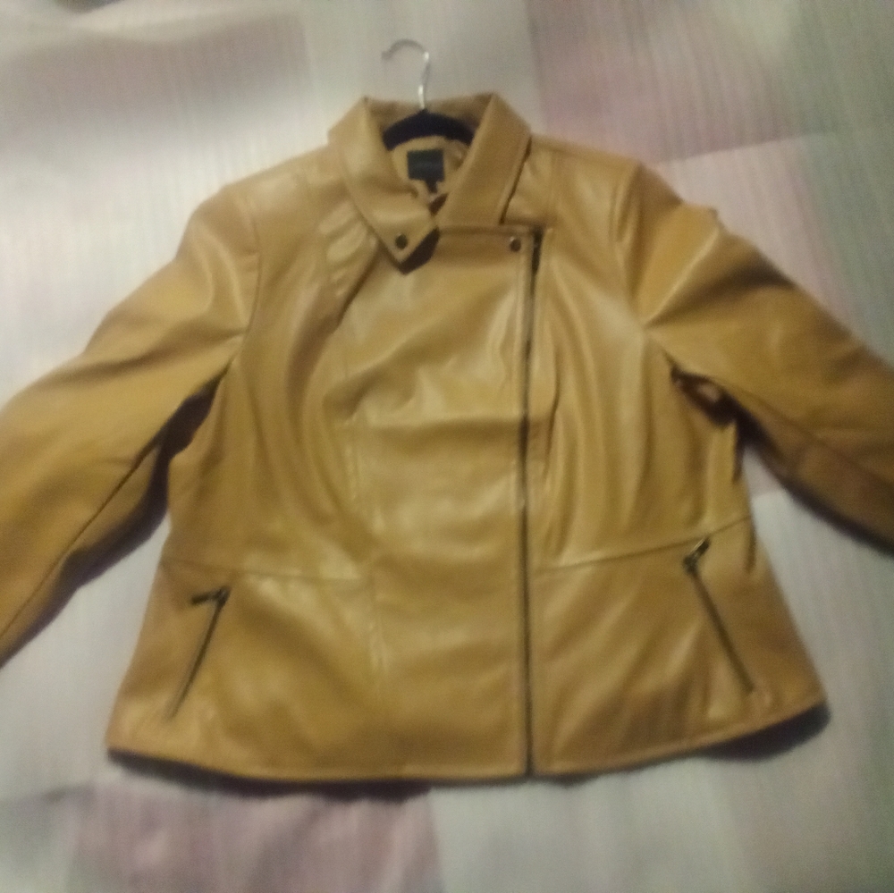 Lane Bryant size 22 new with tags